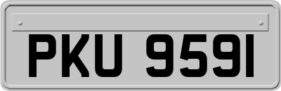 PKU9591