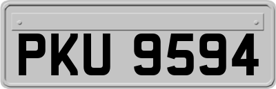 PKU9594