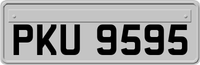 PKU9595