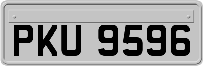 PKU9596