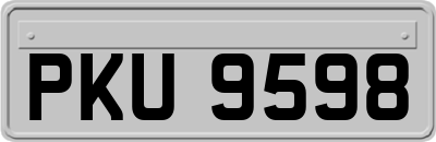 PKU9598