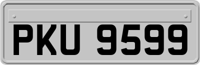 PKU9599