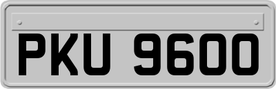 PKU9600