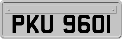 PKU9601