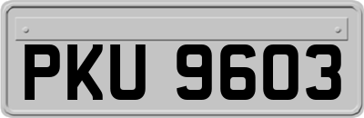 PKU9603