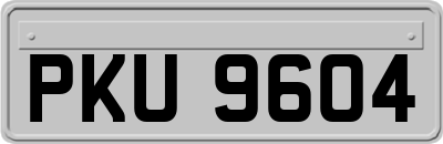 PKU9604