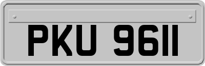 PKU9611