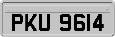 PKU9614