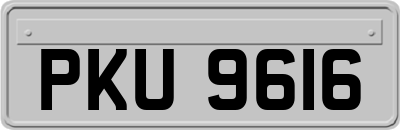 PKU9616