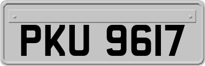PKU9617