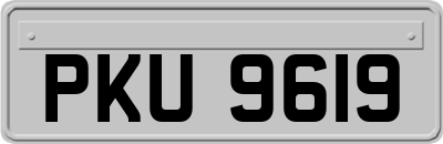 PKU9619