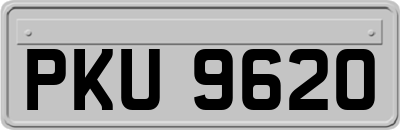 PKU9620