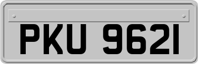 PKU9621