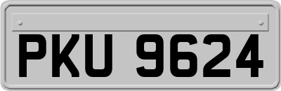 PKU9624