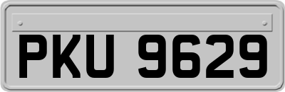 PKU9629