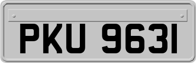 PKU9631