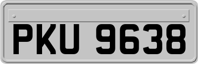 PKU9638