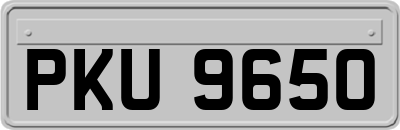 PKU9650