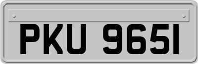 PKU9651