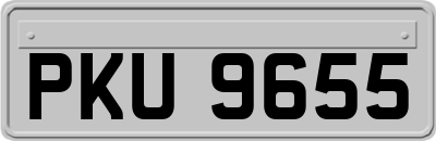 PKU9655