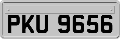 PKU9656