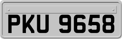 PKU9658