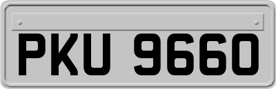 PKU9660
