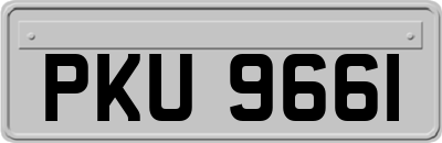 PKU9661