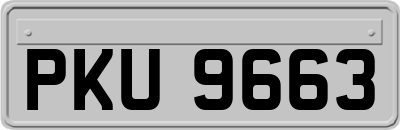 PKU9663