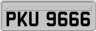 PKU9666
