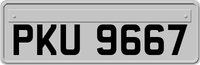 PKU9667