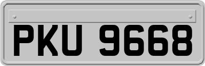 PKU9668