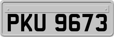 PKU9673