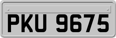 PKU9675