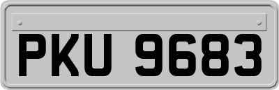 PKU9683