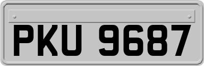 PKU9687