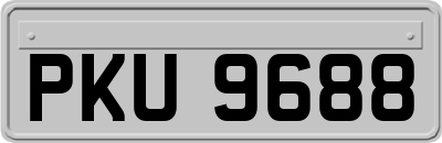PKU9688