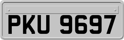 PKU9697