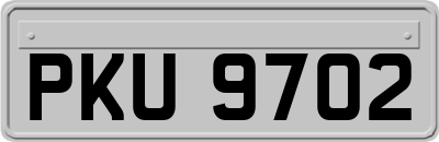 PKU9702