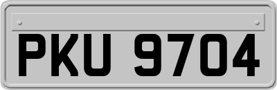 PKU9704