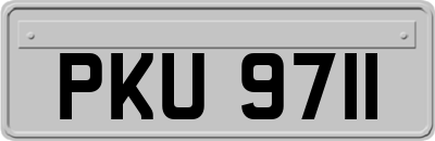 PKU9711