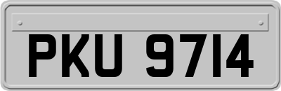 PKU9714