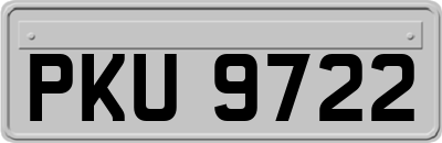 PKU9722