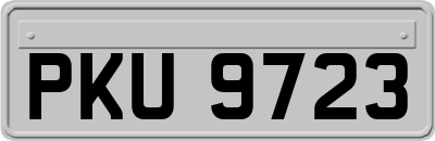 PKU9723