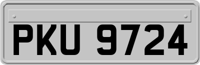 PKU9724