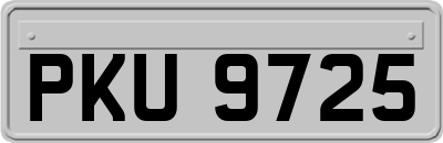 PKU9725