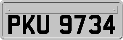 PKU9734