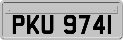 PKU9741