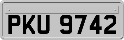 PKU9742
