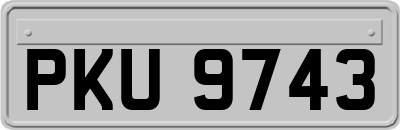 PKU9743